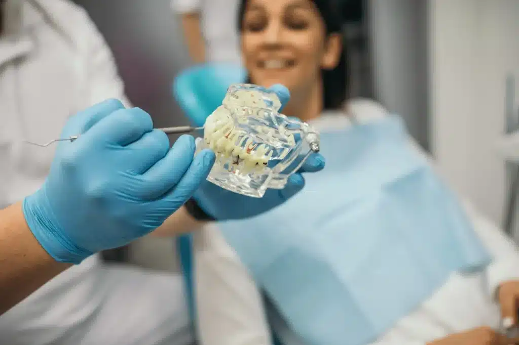 Dentist Examining Dental Prosthesis